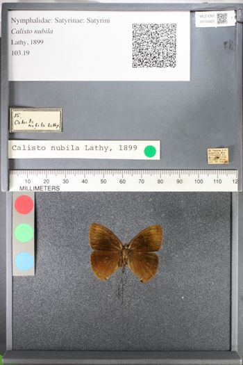 Media type: image;   Entomology 102822